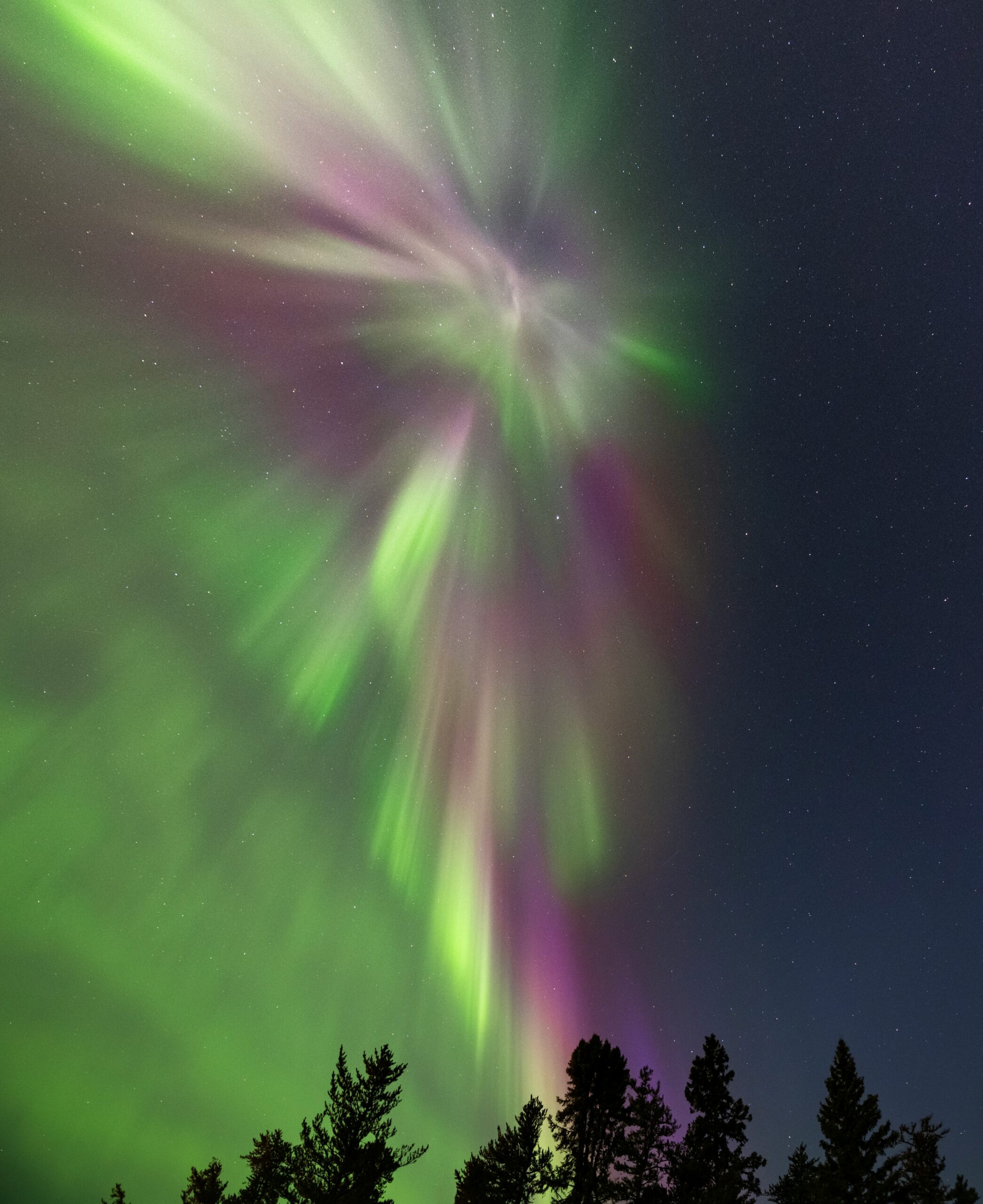 Aurora