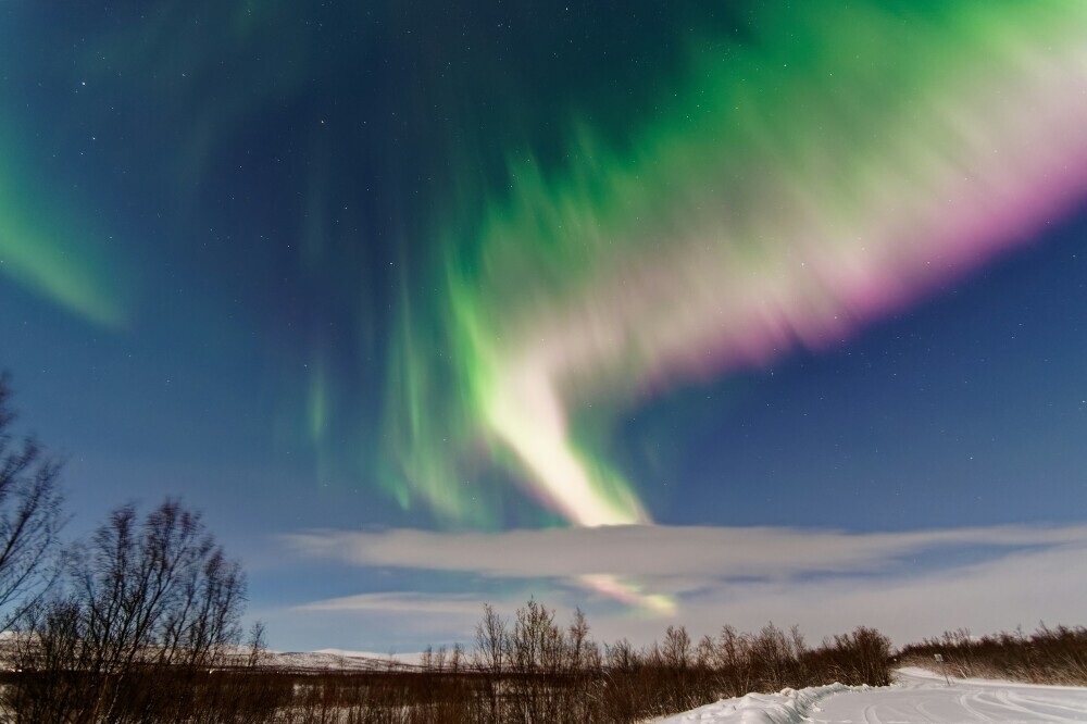 Vibrant Northern Lights in green and purple hues dancing across a clear night sky over a snowy landscape with bare trees, creating a mesmerizing aurora display.