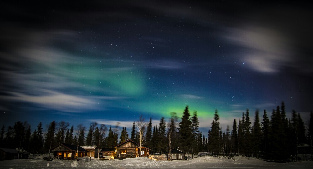 Cabins in a snowy forest under a night sky with faint green Northern Lights, surrounded by tall pine trees.