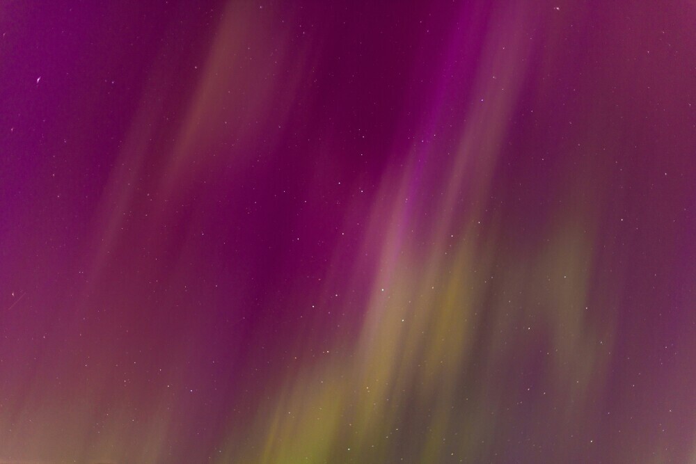 Vibrant purple and green Northern Lights streaking across a starry night sky.