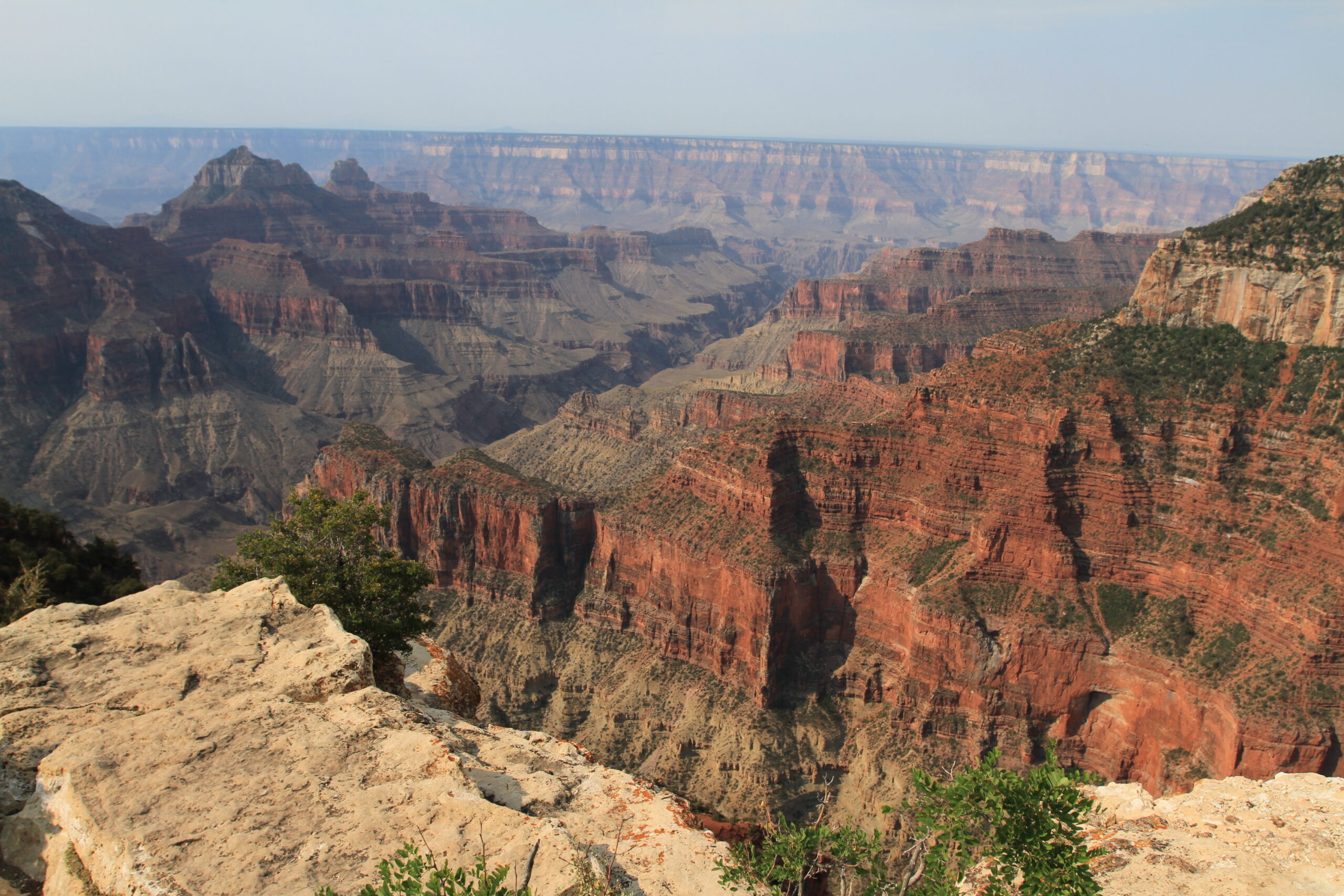 A breathtaking view of the Grand Canyon, showcasing its majestic layers of red and brown rock formations under a clear sky.